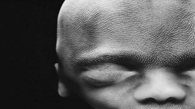human embryo pictures