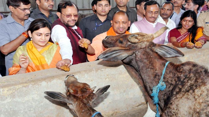 cm yogi in kanha upvan