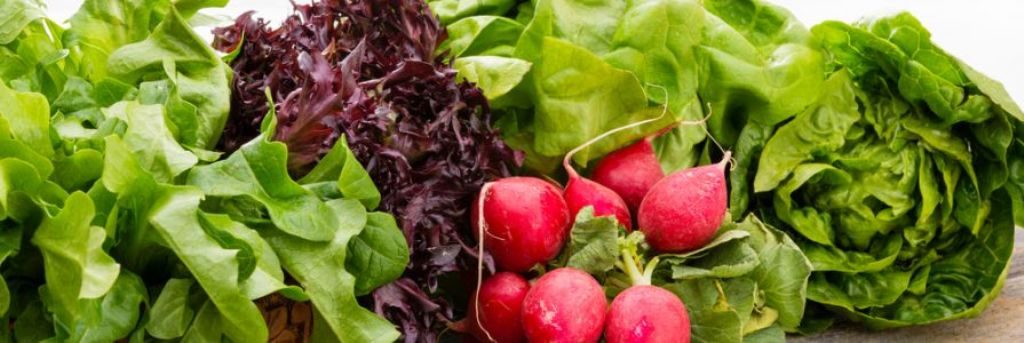 This monsoon avoid these food items!