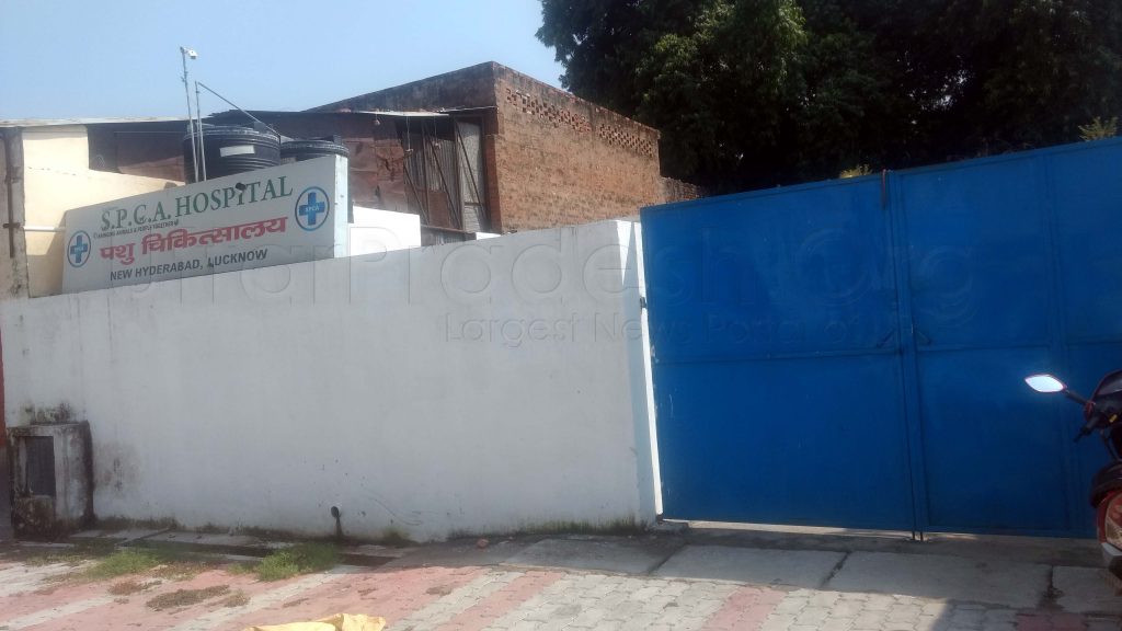 SPCA Jeev Aashraya Hospital New Hydrabad lucknow
