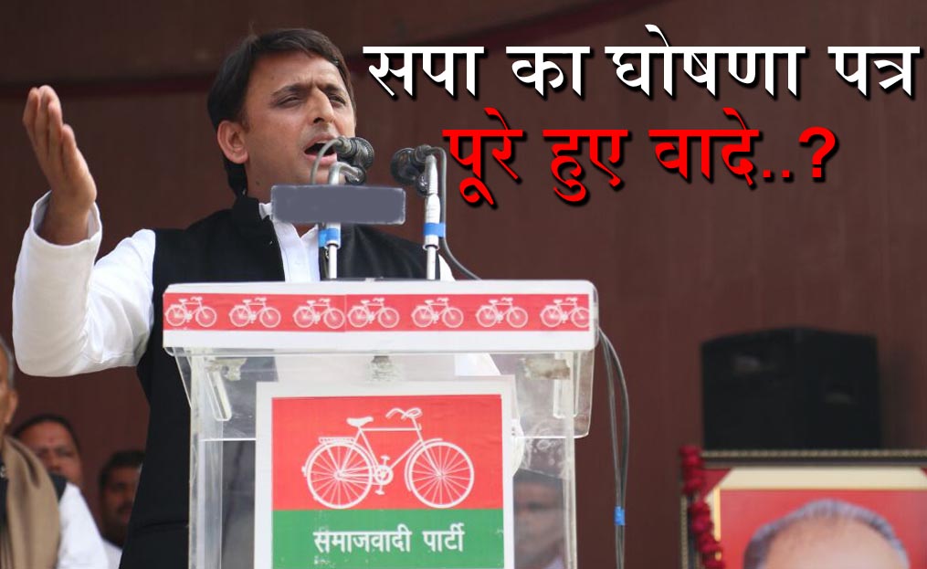 reality check SP manifesto
