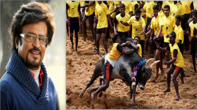 rajnikanth over jallikattu