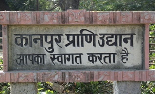 kanpur zoo