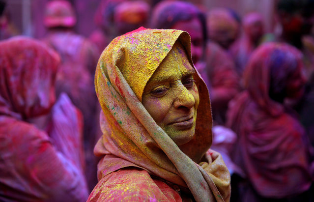 Holi Celebration pictures