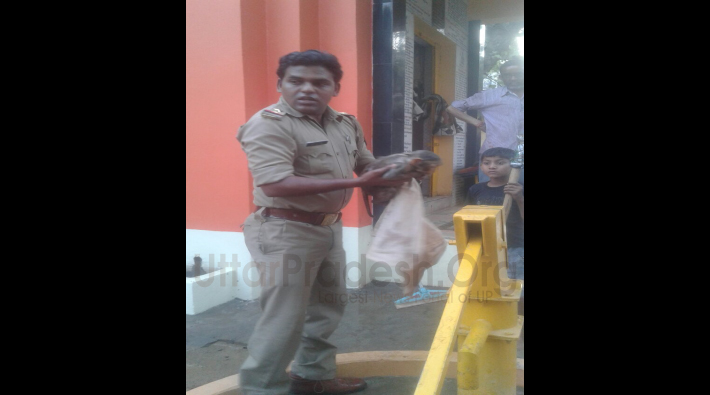sp singh save monkey life in sultanpur