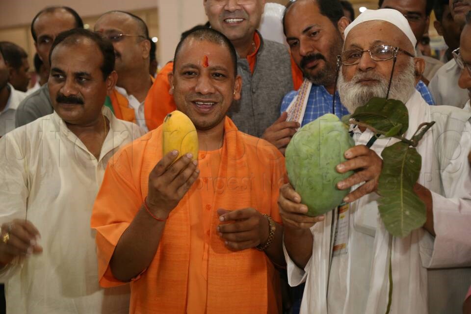 mango festival