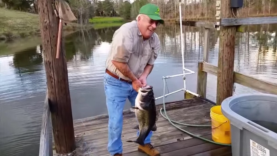 fish