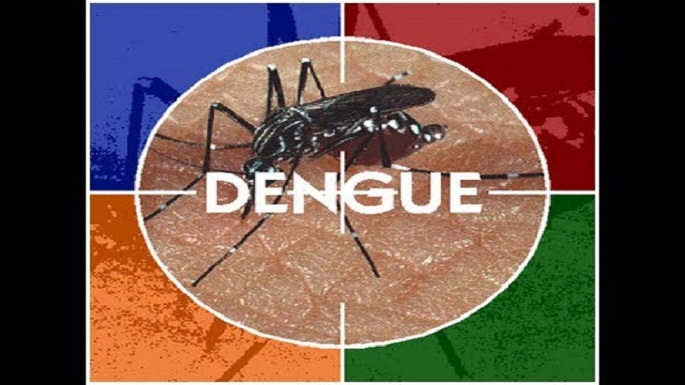 dengue patient death