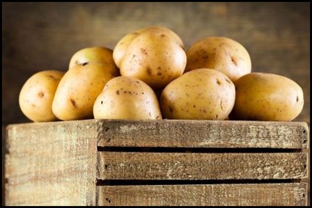 four food harmful health