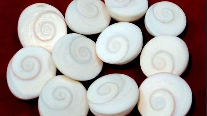 lucknow gomti chakra
