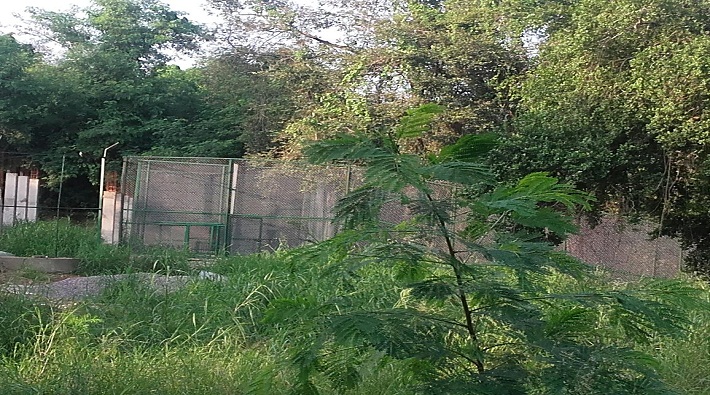 lucknow zoo 22 year old Lioness shubhangi found dead
