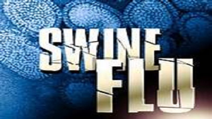 swine flu dengue meeting