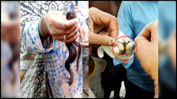 choti katwa caught