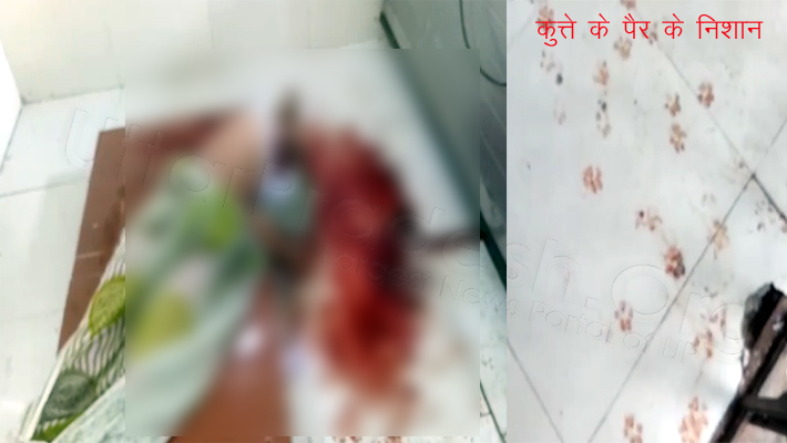 dr ram manohar lohia hospital lucknow