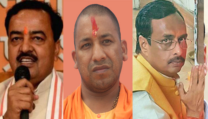 mlc elections