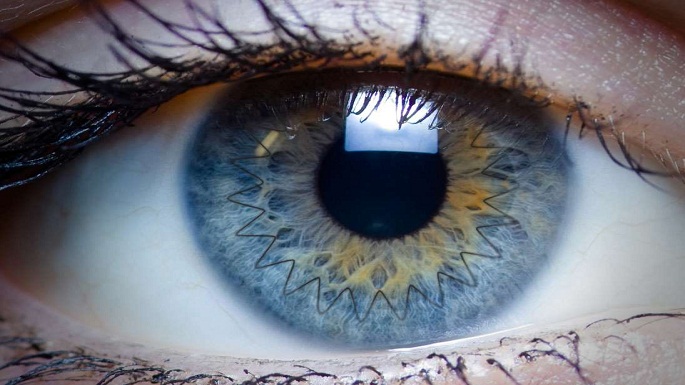 cornea transplantation