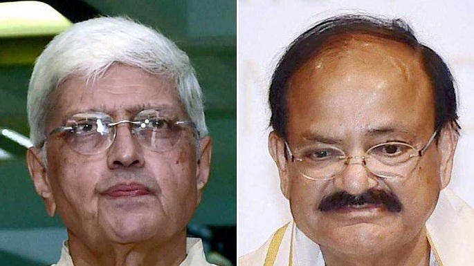 vice-president election voting