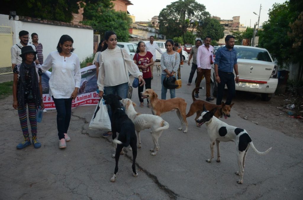 Actress Jaya Bhattacharya celebrates day in lucknow