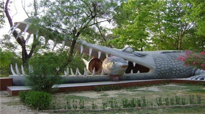 lucknow gets biodiversity park and safari for wild animals in kukrail forest soon