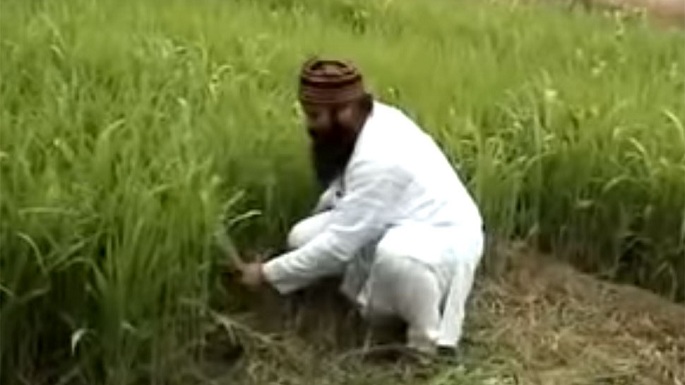 ram rahim sunaria prison