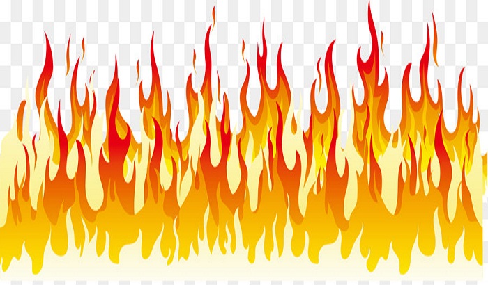 Forest department ignites fire