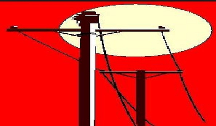 Farmer's death by negligence of power department