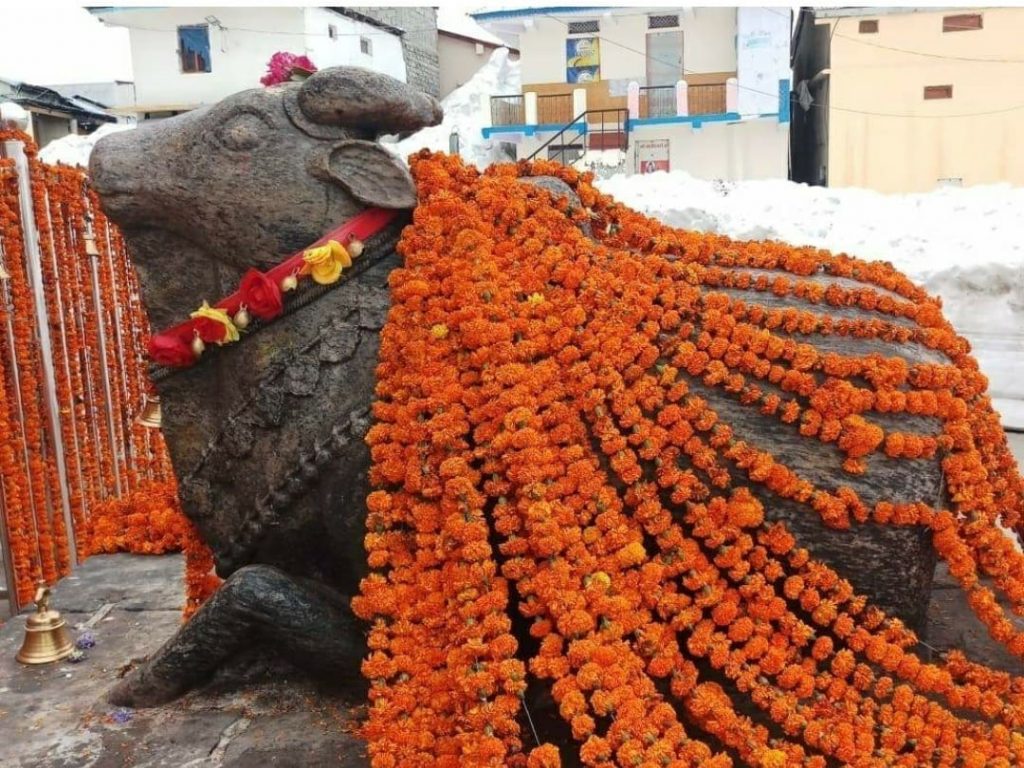 shiva nandi