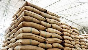 wheat procurement