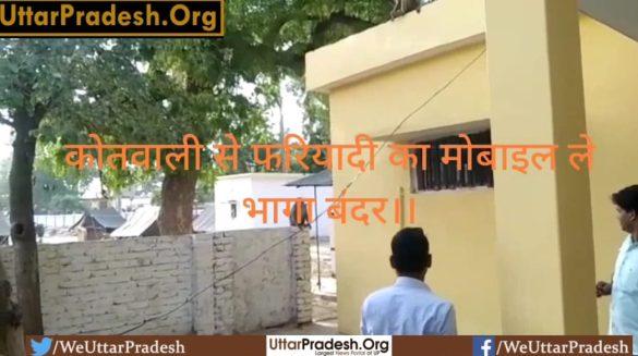 monkey-took-away-the-complainants-mobile-from-kotwali