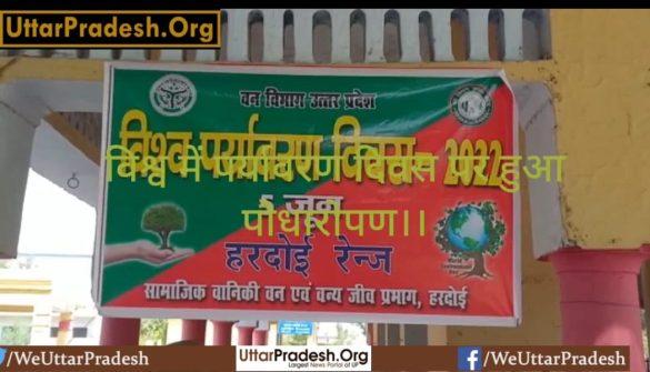 tree-plantation-took-place-on-environment-day-in-the-world