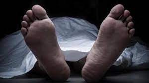 Dharmendra Pal murder case