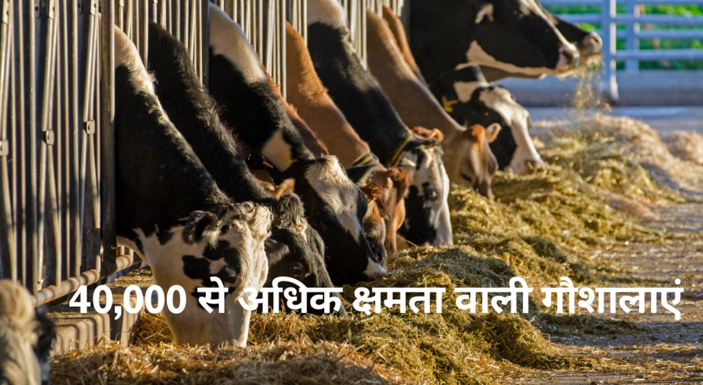 40,000 से अधिक क्षमता वाली गौशालाएं: हमीरपुर, जालौन (ओरई), झांसी, चित्रकूट, हरदोई, सीतापुर और बांदा( 40000 Cows Capacity )