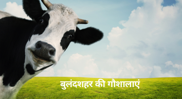 Gaushala in Bulandshahr - बुलंदशहर की गौशालाएं की जानकारी