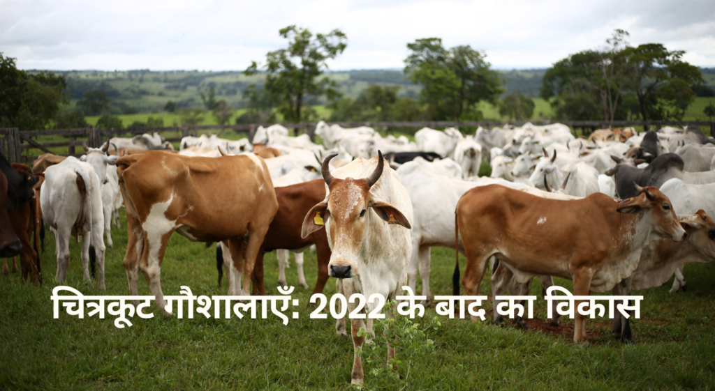 Gaushala in Chitrakoot - चित्रकूट गौशालाएँ: 2022 के बाद का विकास