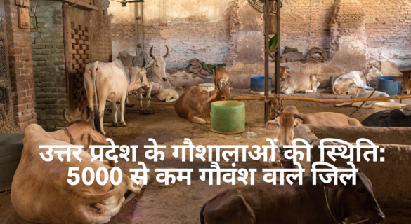 उत्तर प्रदेश के गौशालाओं की स्थिति - 5000 Cows से कम गौवंश वाले जिलों की सूची