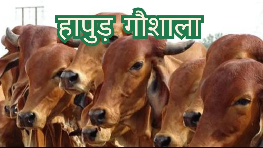 Gaushala of Hapur हापुड़ की गौशालाएं